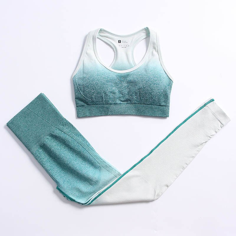 Ombre Seamless Yoga Set Long Sleeve Women Gym Crop Top Sportswear Bra High Waist Leggings Workout Outfit Fitness Yoga Clothing