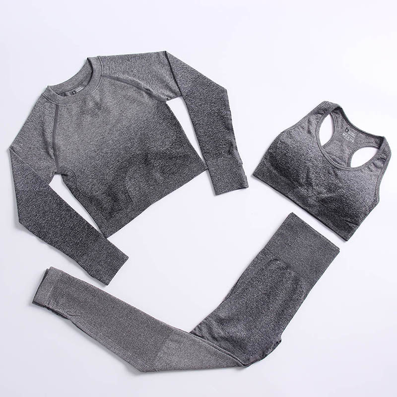 Ombre Seamless Yoga Set Long Sleeve Women Gym Crop Top Sportswear Bra High Waist Leggings Workout Outfit Fitness Yoga Clothing